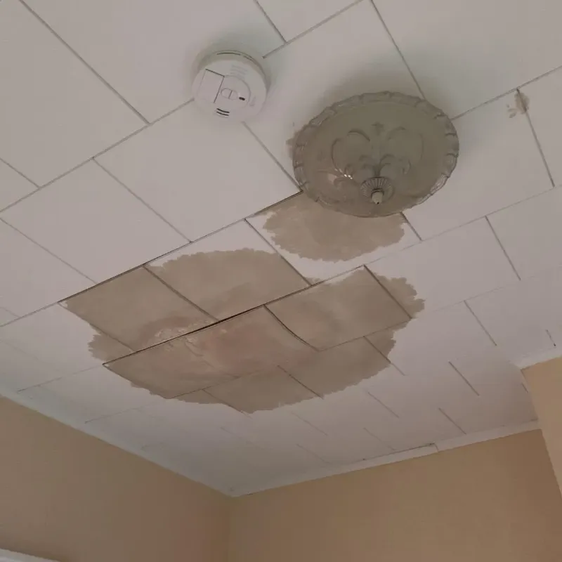 Ceiling Water Damage Repair in Fort Recovery, OH