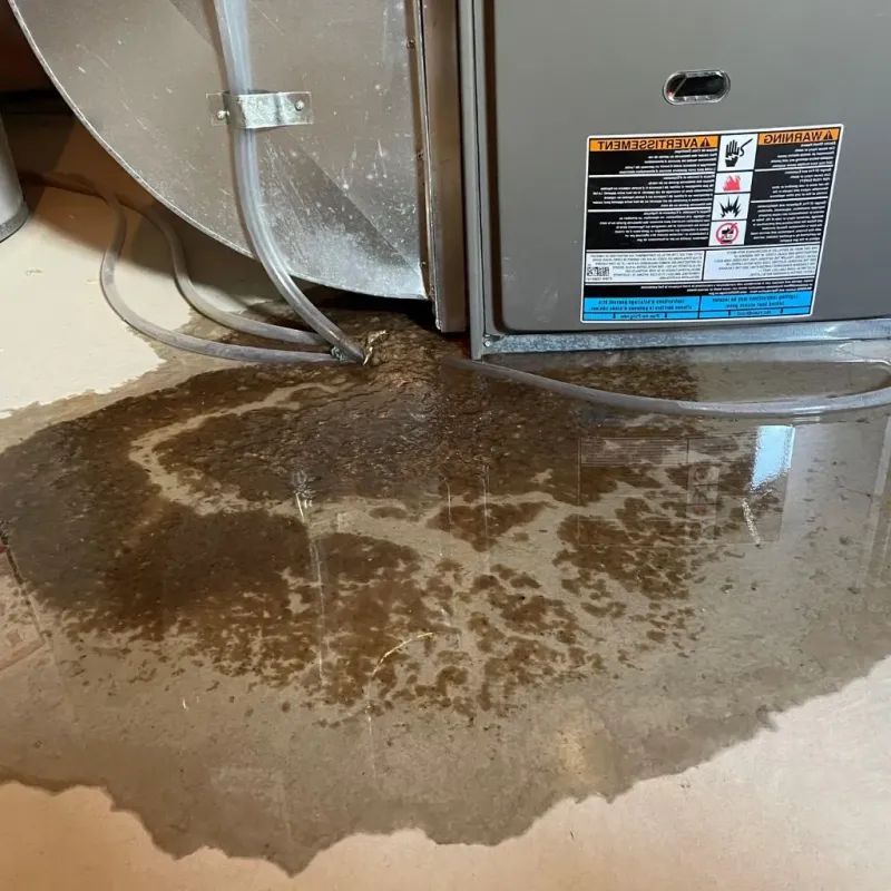 Pipe Burst and Leak Restoration in Fort Recovery, OH