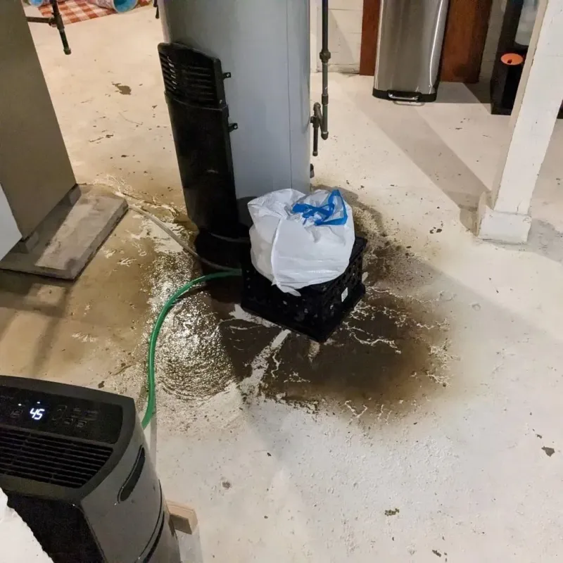 Sewage Backup Cleanup Service in Fort Recovery, OH